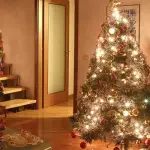 Come recuperare l'Albero di Natale